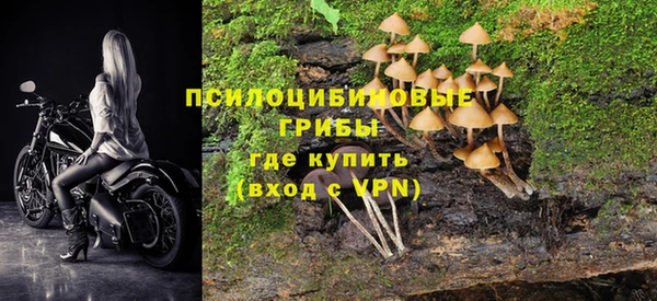 MESCALINE Гусь-Хрустальный