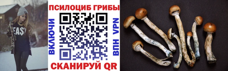 Псилоцибиновые грибы Magic Shrooms  Пятигорск 