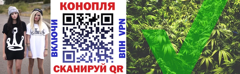 как найти закладки  Пятигорск  Шишки марихуана Bruce Banner 